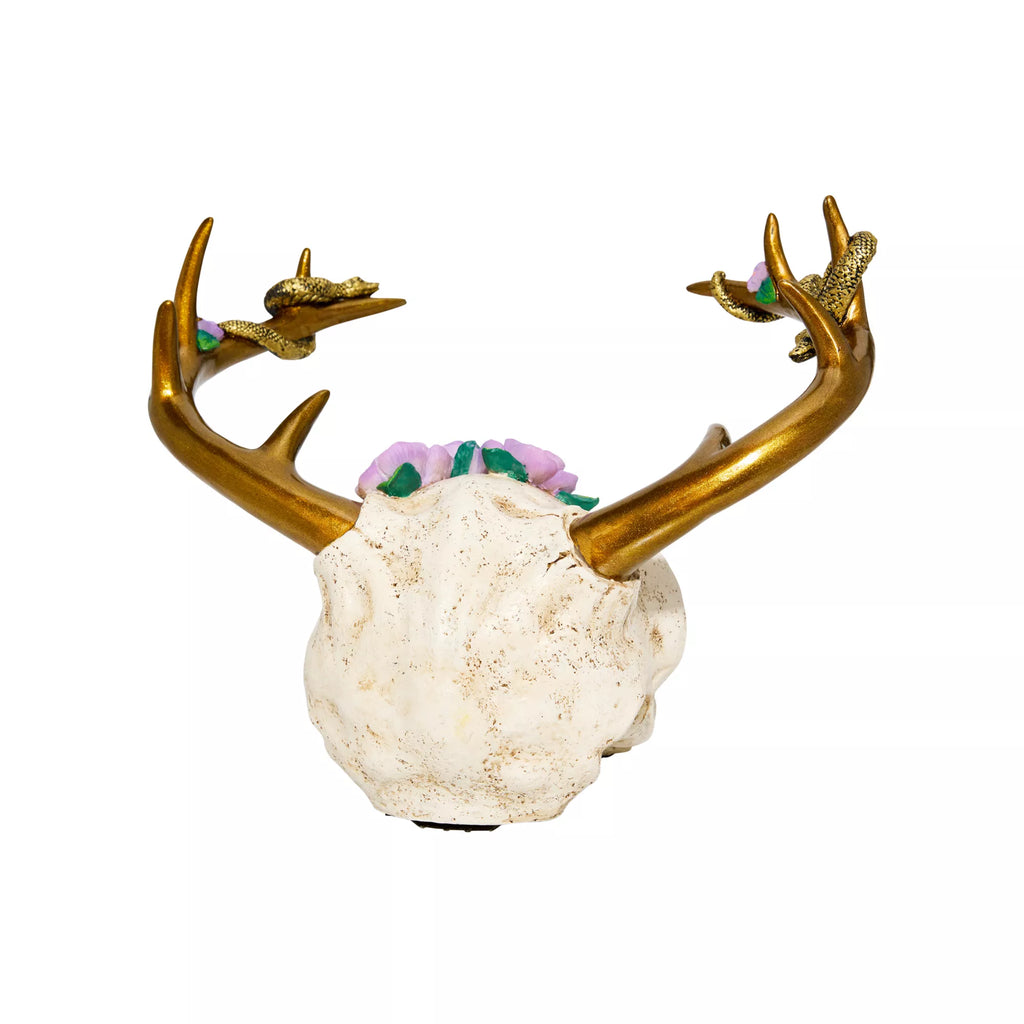 Medusa Antler Skull